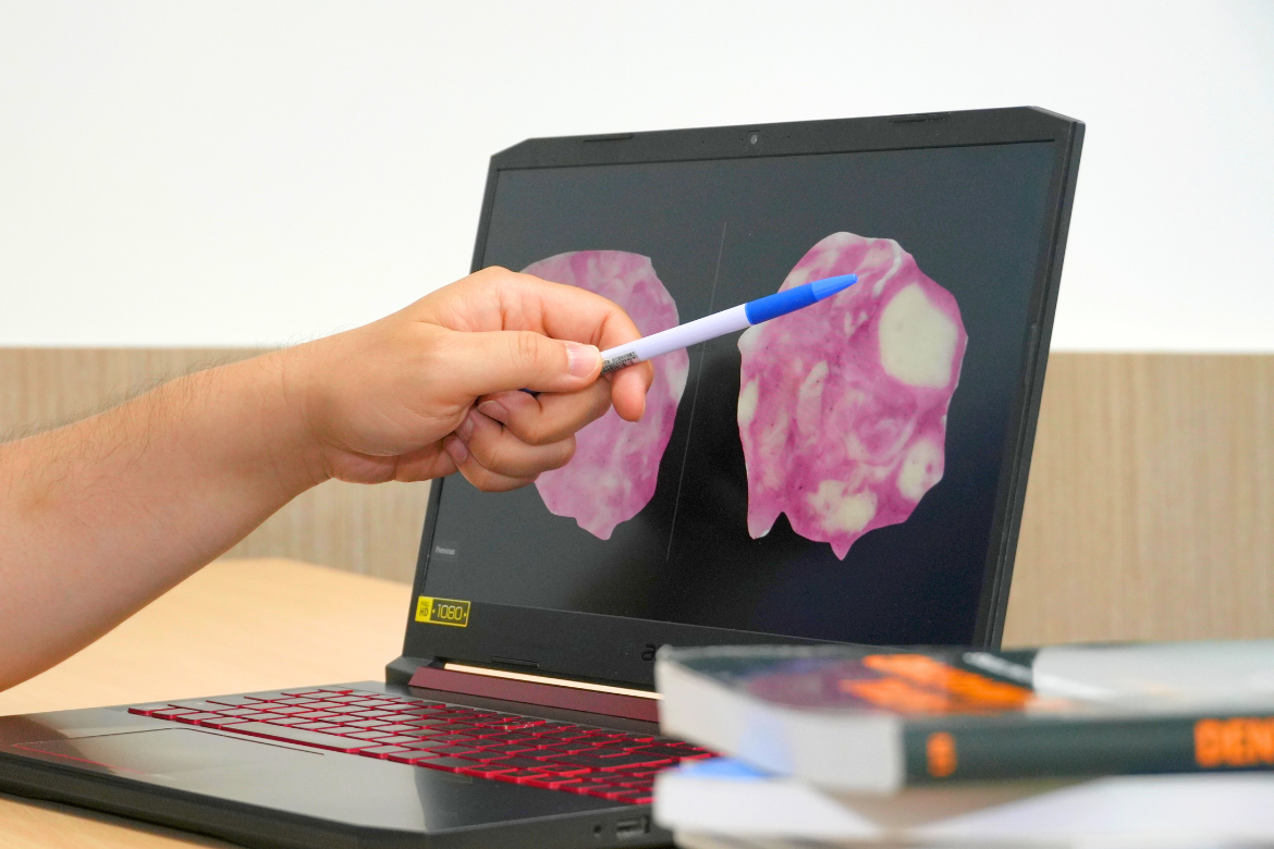 Everyday Actions, Deep Brain Connections: NYCU Study Uncovers How Chewing and Swallowing Engage the Human Mind