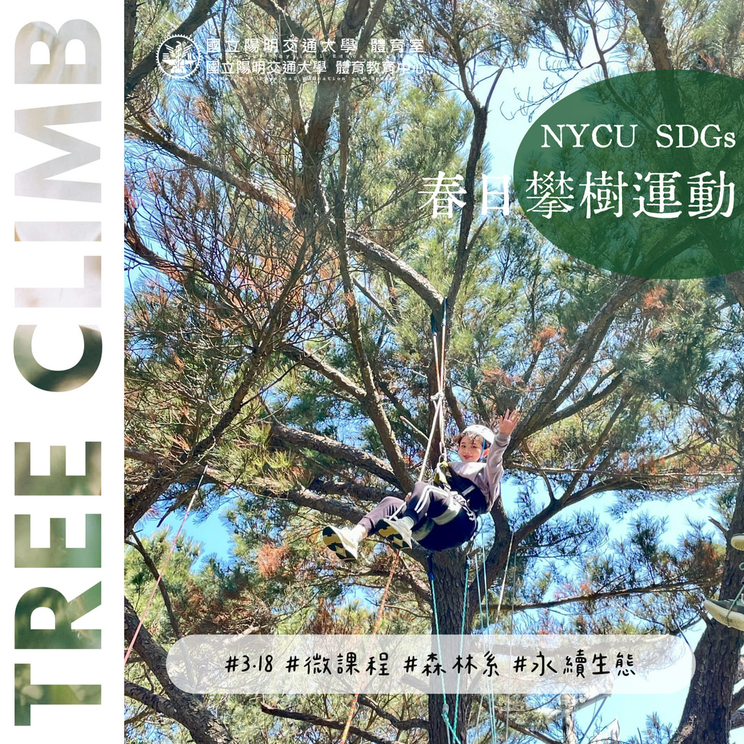 3/18 SDGs阻抗運動，攀樹慢漫森呼吸