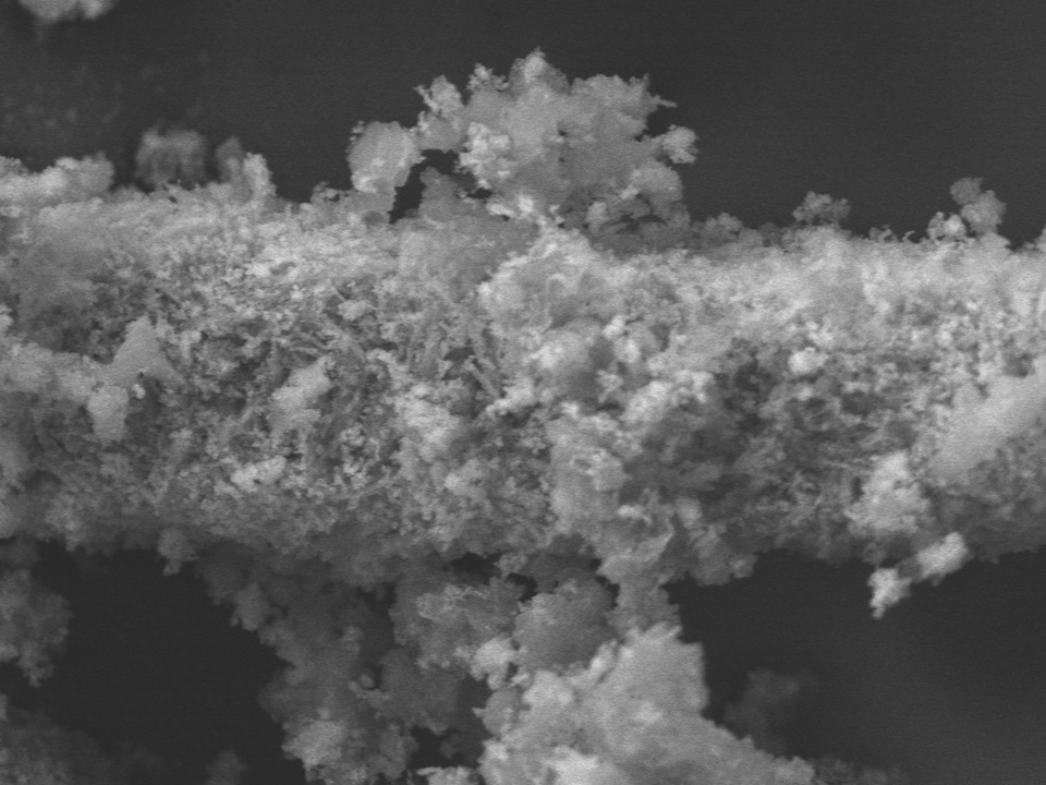 Read more about the article NYCU Develops Humidity-Resistant Catalyst to Tackle Ozone Pollution in Subtropical Climates