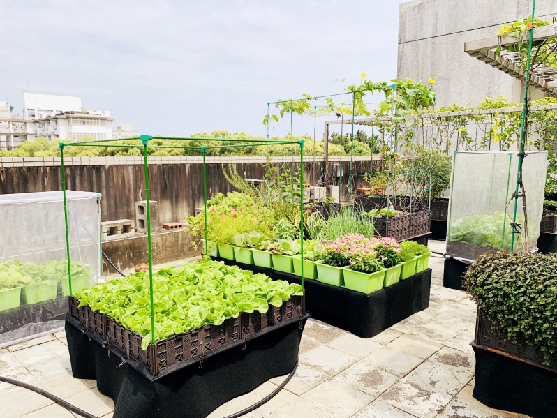 [NYCU SDGs Project] Solving Environmental Problems with Self-Recycling Urban Farms