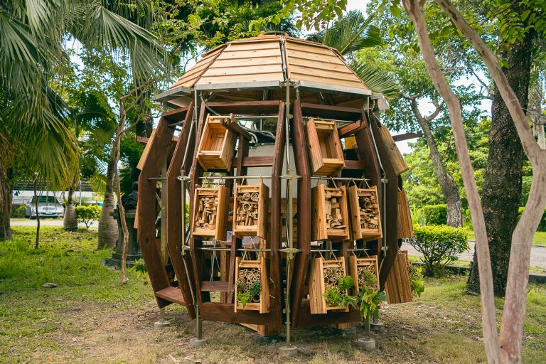 東南亞國際志工團打造台灣東部環境教育空間＆遠距設計服務工作坊跨海服務柬埔寨