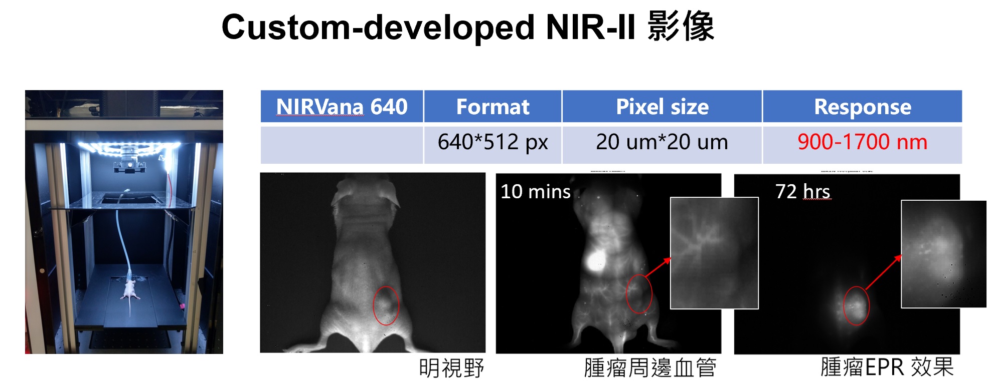 開發尖端NIR-II Pdots奈米複合藥物與多模態 3D 腫瘤影像之精準醫療研究平台