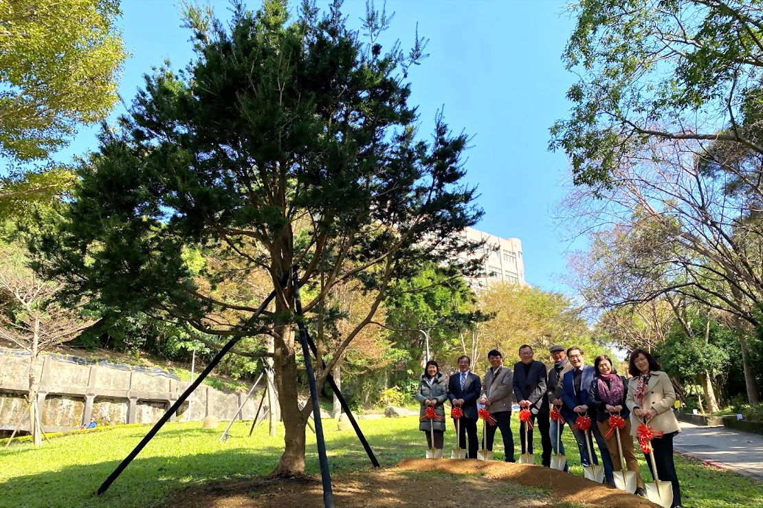 三角公園新亮點，善心人士與校友捐贈珍貴台灣油杉
