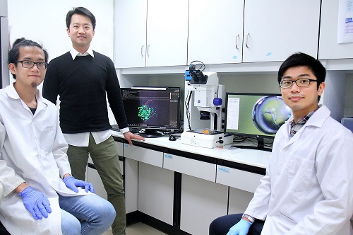 陽明交大結構生物學團隊，助解決癌細胞抗藥性