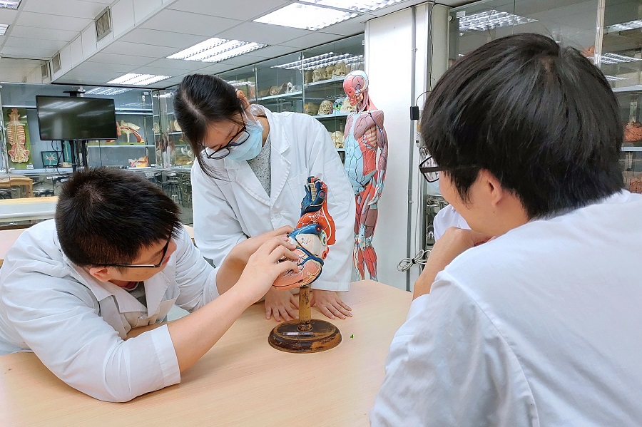 陽明醫學系首創「醫師工程師」，培育台灣數位醫療人才